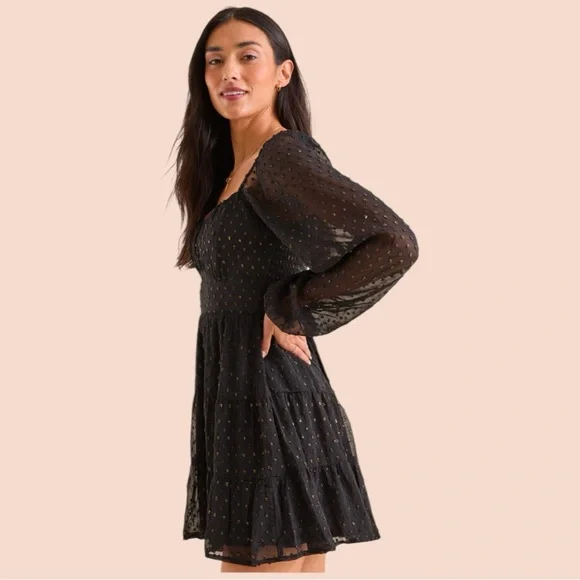 NWT Altar'd State Dekota Clip Dot Dress - Picture 3 of 7